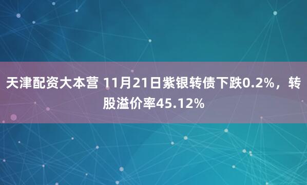天津配资大本营 11月21日紫银转债下跌0.2%，转股溢价率45.12%