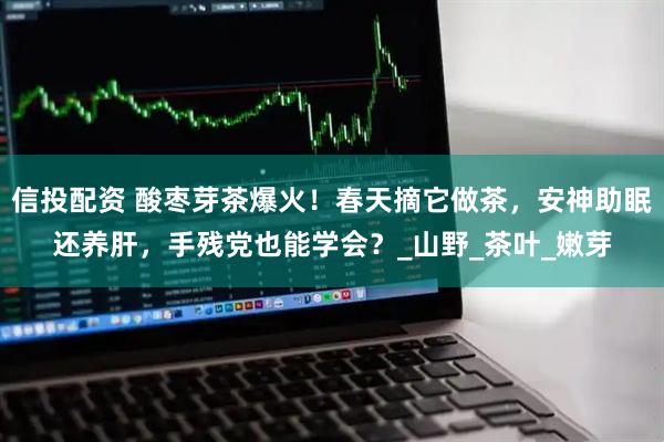 信投配资 酸枣芽茶爆火！春天摘它做茶，安神助眠还养肝，手残党也能学会？_山野_茶叶_嫩芽